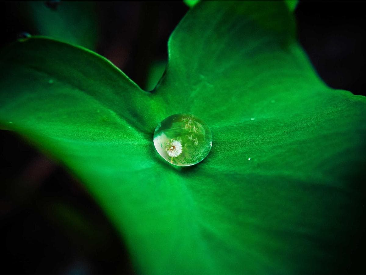 Ceniza Patisserie gallery 1