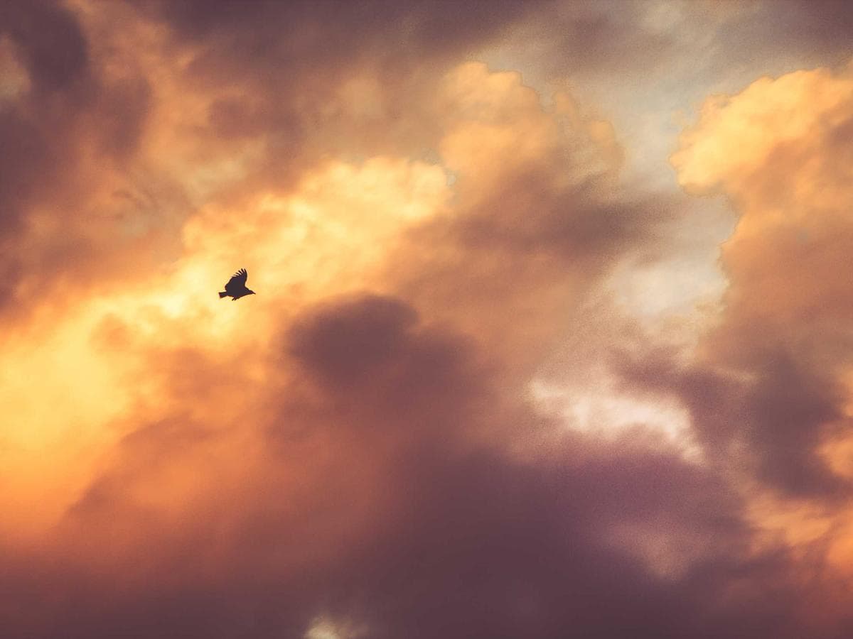 MonoChrome Studio gallery 2