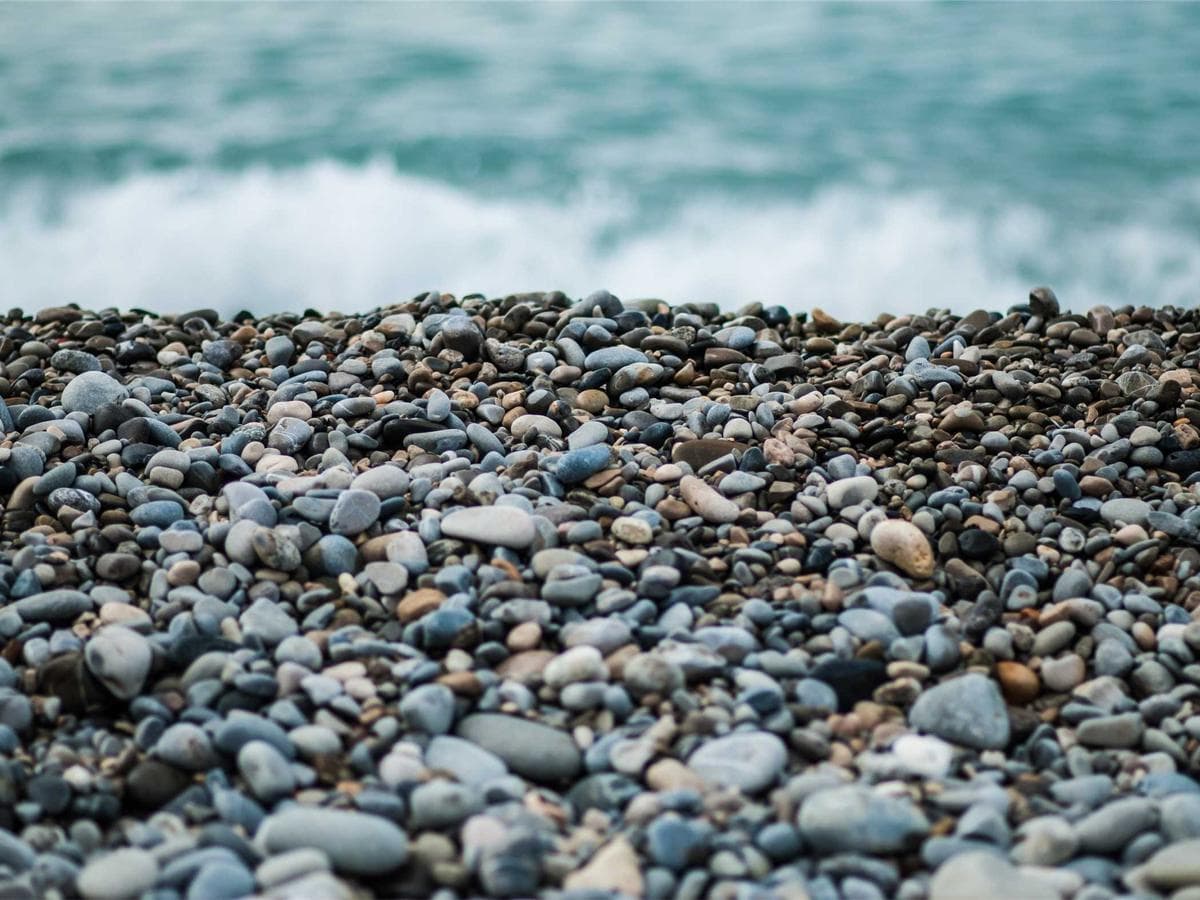 Obsidian Coffee Lab gallery 2