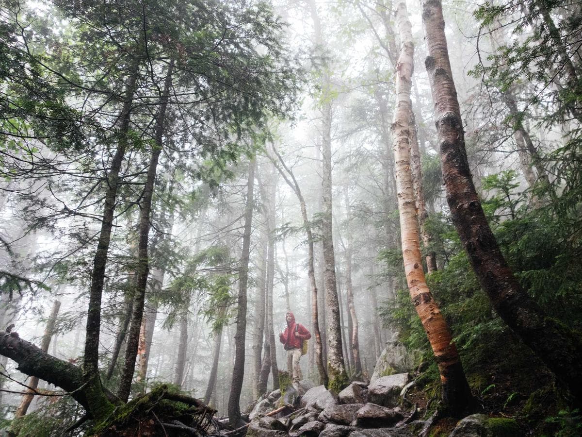 Silverline Logistics gallery 1